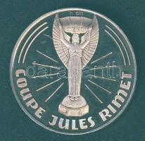 NSZK DN "Nemzetközi Labdarúgó Szövetség" Ag (1000) emlékérem 15g T:exPP