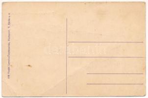 Budapest XV. Rákospalota, Sándor utca, villák. Vasúti Levelezőlapárúsítás (fa)