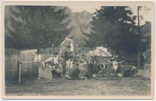 Zernest, Zernyest, Zarnesti; Román folklór / Romanian folklore. G. Oprean photo