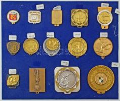 Vegyes 69db-os sport témájú füles emlékérem és lemezérem veret tétel, két lapra rögzítve T:AU