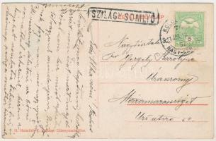 1911 Szilágysomlyó, Simleu Silvaniei; látkép, Simai kastély, villanytelep. Heimlich K. kiadása / gen...