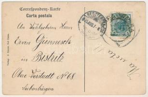 1905 Vatra Dornei, Dornavátra, Bad Dorna-Watra (Bukovina, Bucovina, Bukowina); Falkenhainquelle, Cur...