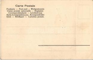 Buffalo Bill's Wild Wild West. J. Weiner, Vienna (EK)