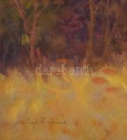 Molnár Z. János (1880-1960): Őszi táj a Balatonnál. Olaj, katon, jelezve balra lent. Fakeretben, 40x...