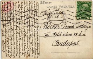 1915 Brno, Brünn; Osztrák-magyar önkéntes katonák és tisztek csoportképe / WWI Austro-Hungarian K.u....