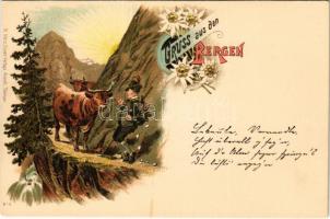 Gruss aus den Bergen / Highlander folklore, alpinist man with cows. H. Metz Kunst-Verlags Anstalt No. 6. Art Nouveau, floral, litho (fl)
