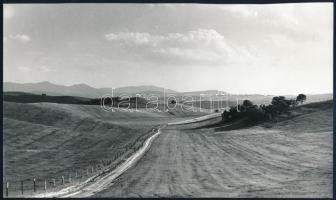 cca 1976 Kriss Géza (?-?) budapesti fotóművész hagyatékából, a hátoldalon aláírt vintage fotó (cím nélküli tájkép), ezüst zselatinos fotópapíron, 14x24 cm