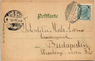 1901 Judendorf, Judendorf-Straßengel (Steiermark), general view (fl)