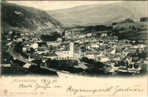 1901 Mürzzuschlag (Steiermark), general view, railway bridge, railway station (EK)