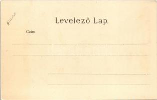 Budapest VI. Andrássy út az Operával. Druck v. Gustav Ertel litho