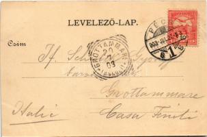 1903 Pécs, Széchenyi tér, templom. Fürst Lipót kiadása (vágott / cut)