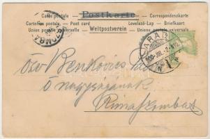 1900 Lady art postcard, glitter decoreted, litho (Rb)