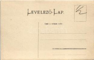 Lovas bemutató, nézők / horse show, photo