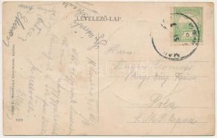 1910 Marosludas, Ludosul de Mures, Ludus; a város látképe, fatelep. Glück J. kiadása / general view,...