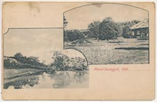 1910 Mezőszengyel, Sanger; kúria, villa, folyópart. Dunky Fivérek cs. és kir. udv. fényképészek kiadása / villa, river bank (fl)