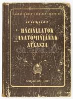 Háziállatok anatómiájának atlasza. Szerk.: Kovács Gyula, Guoth János, Glósz László. Agrártudományi Egyetem Tankönyvei. Bp., 1952., Mezőgazdasági Kiadó. Kiadói félvászon-kötés, kopott, karcos borítóval. De belül jó állapotban. Megjelent 3500 példányban.