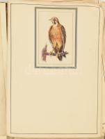 cca 1930, Mintarajz iskolában kézzel rajzolt klf ipari rajz minták, borítótervek, stb., közte irrede...