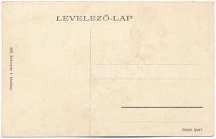 Nagysurány, Velké Surany; Berthold kastély / castle (ázott / wet damage)