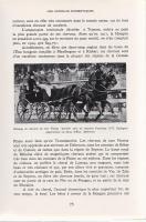 Visages de le Hongrie. Ouvrage orné de 257 illustrations.
Paris, 1938. Librarie Plon (Imprimerie et...