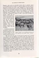 Visages de le Hongrie. Ouvrage orné de 257 illustrations.
Paris, 1938. Librarie Plon (Imprimerie et...