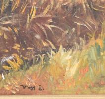 Vass E jelzéssel: Táj. Olaj, karton. Dekoratív, kissé kopott fakeretben. 38x46 cm