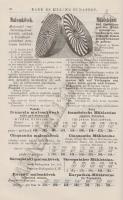 [Árjegyzék] Kann és Heller műszaki üzletének képes árjegyzéke 1909/1910.
Ipari és műszaki szükségle...