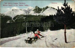 1911 Tátra, Magas-Tátra, Vysoké Tatry; Bobsleigh menetben, szánkó, téli sport / bobsled, sledding, winter sport (EM)