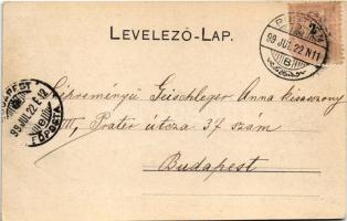 1899 (Vorläufer) Temetvény, Hrádok (Pöstyén, Piestany); Temetvény vár. A. Bernas kiadása / Hrad Tema...
