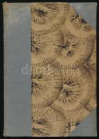 Száz szál fáklya. A Pesti Hirlap reviziós dalpályázatának száz legszebb költeménye. Bp.,[1930],Légrá...