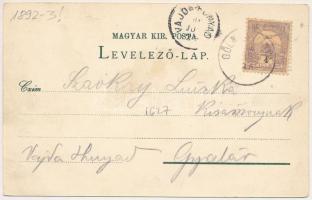 1900 Thurzófüred, Kupele Turzo (Gölnicbánya, Gelnica); Vendéglő, Bányász nyaraló, Marasztaló forrás,...