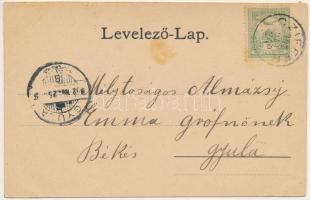 1902 Vedrőd, Voderady; Gróf Zichy József kastély, park, templom / castle, park, church. Art Nouveau,...
