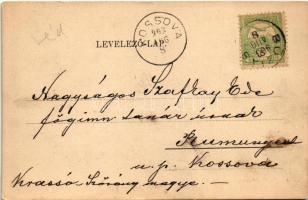 1903 Buziás, Meleg acélfürdő / Warmes Stahlbad / spa