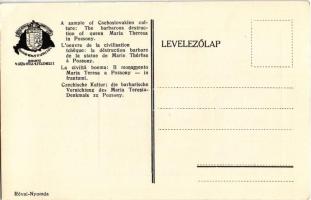 Pozsony, Pressburg, Bratislava; Mária Terézia szobor barbár ledöntése, Cseh kultúra. Kiadja a Magyar...