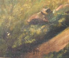 M. Szilágyi jelzéssel: Vízparti táj. Olaj, vászon. 74x102 cm. KIZÁRÓLAG SZEMÉLYES ÁTVÉTEL, NEM POSTÁ...