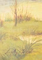 Ligetty József jelzéssel: Vízparti táj. Olaj, falemez. Dekoratív, kissé sérült fakeretben. 57x98,5 c...