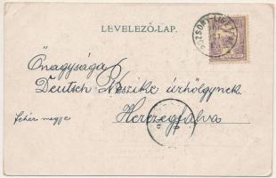 1900 Pozsony, Pressburg, Bratislava; Hal tér és Király vár / Fischplatz u. Schlossruine / square, ca...