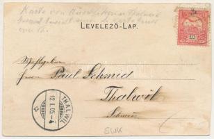 1905 Pozsony, Pressburg, Bratislava; látkép, vár, gőzhajó. Üdvözlet Pozsonyból montázs fecskével / g...