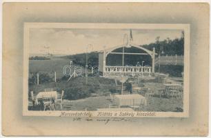 1912 Marosvásárhely, Targu Mures; Kilátás a Székely kioszkból / general view from Szekely kiosk (fl)