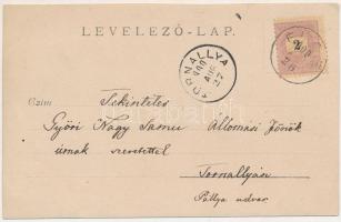 1900 Mihályfalva, Michelsdorf, Boarta; villa. photo (vágott / cut)