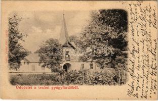 1900 Tenke, Tinca; Tenkei Gyógyfürdő. Lévy Dávid kiadása / spa, bath (EK)