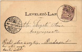 1900 Tenke, Tinca; Tenkei Gyógyfürdő. Lévy Dávid kiadása / spa, bath (EK)