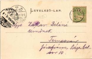 1905 Verespatak, Goldbach, Rosia Montana; látkép, aranybánya / general view, gold mine (EK)