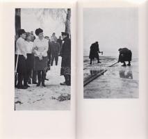 Cseres Tibor - Kovács András:
Hideg napok. Kovács András filmje (Cseres Tibor regényéből.) (Dedikál...