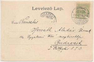 1902 Nagybánya, Baia Mare; Kereszthegy a Szent János patak mentéről. Kovács Gyula kiadása / riversid...