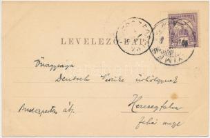 1901 Csíkgyimes, Csík-Gyimes, Gyimes, Ghimes; pályaudvar, vasútállomás. Adler Alfréd / railway stati...