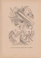 Tábori Piroska, Z.:
Csavar Peti csavargásai. Kolozsváry Sándor rajzaival.
Budapest, (1934). Dante ...