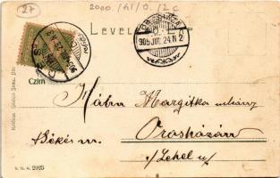 1905 Dés, Dej; Fő tér, templom, piac. Gálócsi Samu kiadása / main square, church, market (fl)