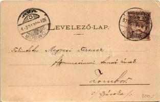 1901 Kolozsvár, Cluj; Mátyás király szobra. Dunky Fivérek cs. és kir. udvari fényképészek / statue, ...