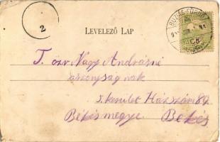 Buziásfürdő, Baile Buzias; Melegfürdő hátulsó része, Deák pihenője. Nosek Gusztáv kiadása / spa, bat...