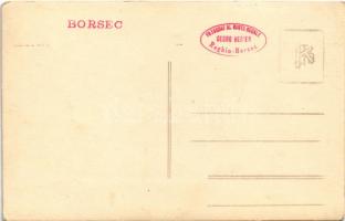 Borszék, Borsec; Excelsior nyaraló / villa. Georg Heiter (Reghin-Borsec) photo (EK)